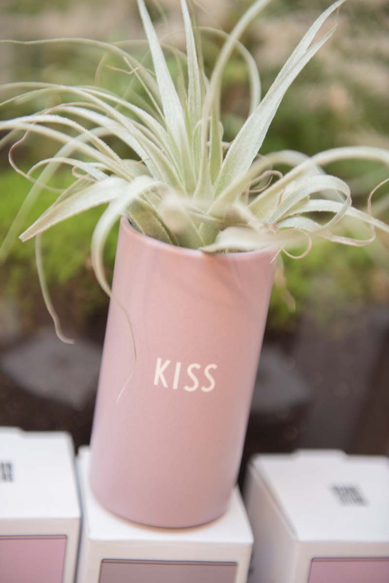Luchtplant met een roze vaasje met de tekst Kiss van Design Letters